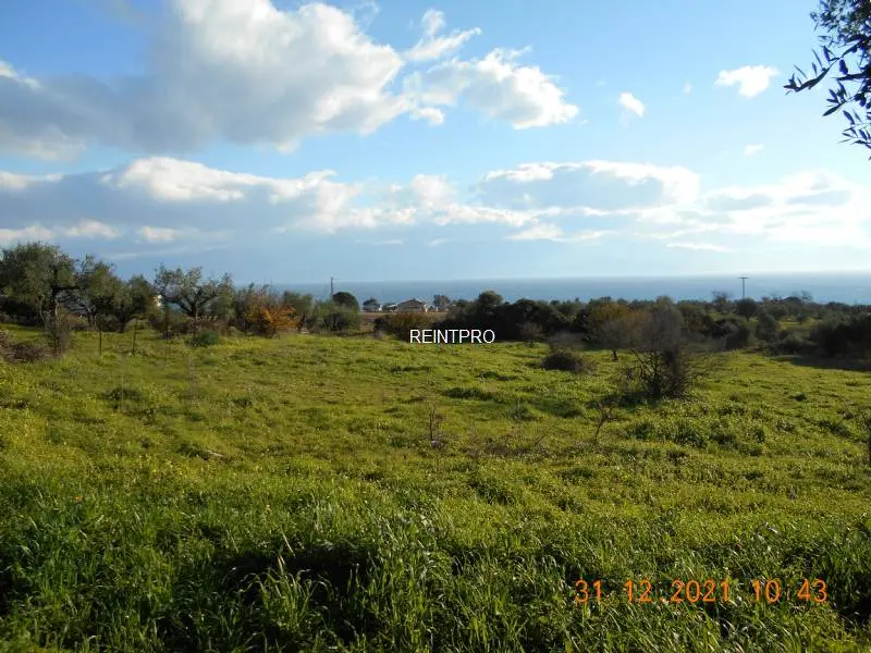 Land For Sale by Owner Messene   Petalidi  photo 1
